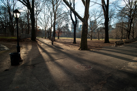 Path to the Light, Central Park.